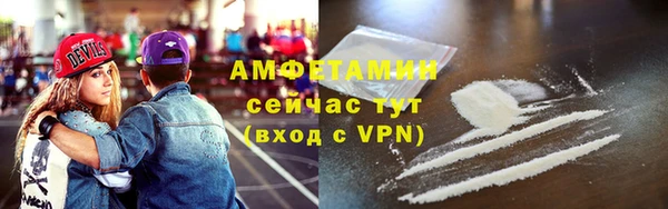 ГАЛЛЮЦИНОГЕННЫЕ ГРИБЫ Богданович