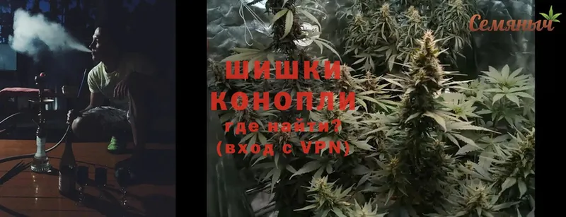 Марихуана OG Kush  Каспийск 